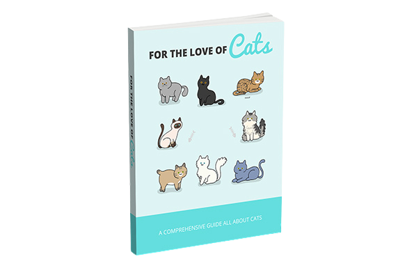 For-The-Love-Of-Cats For The Love Of Cats