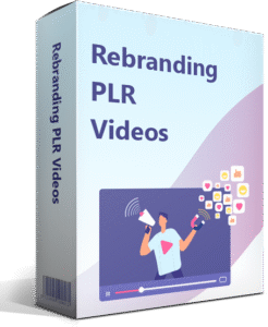 Rebranding-PLR-Videos-246x300 100+ Premium Bonuses