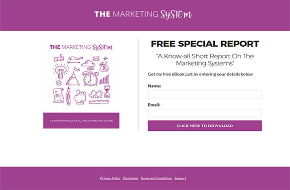 Screen422-1 The Marketing System