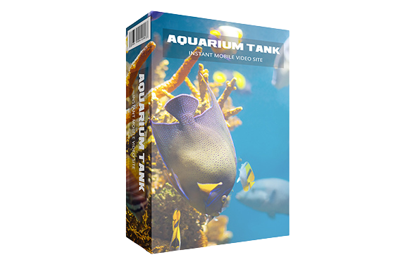 Aquarium-Tank-Instant-Mobile-Video-Site Aquarium Tank Instant Mobile Video Site