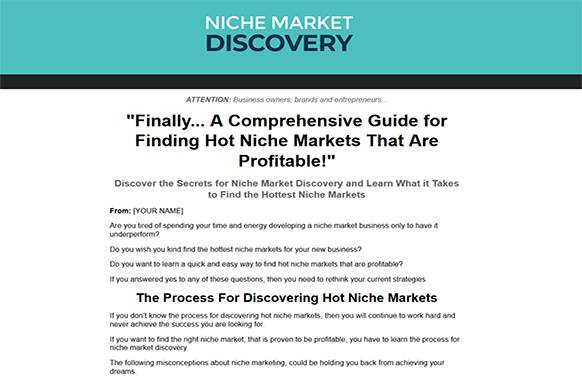 Screen413-1 Niche Market Discovery
