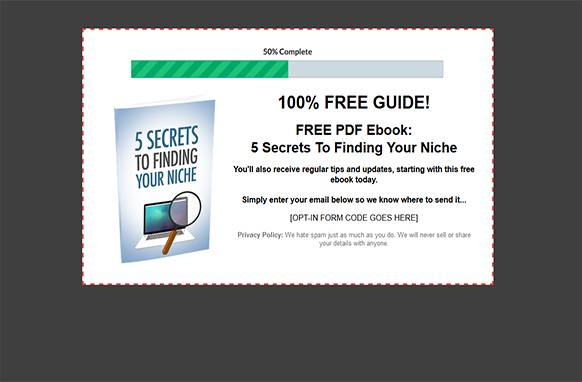 Screen4-4-3 5 Secrets To Finding Your Niche