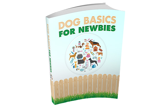 Dog-Basics-For-Newbies Dog Basics For Newbies