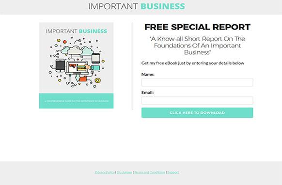 Screen429 Important Business