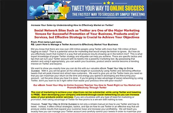 Screen-2 Tweet Your Way To Online Success