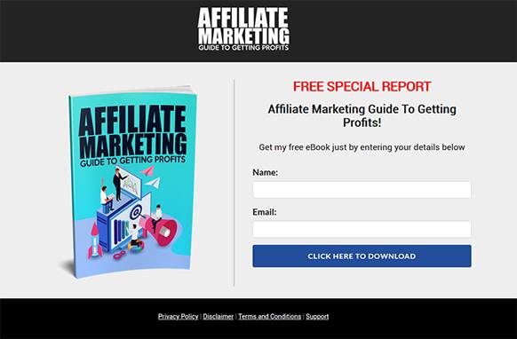 Screen-13-3 Affiliate Marketing Guide To Getting Profits
