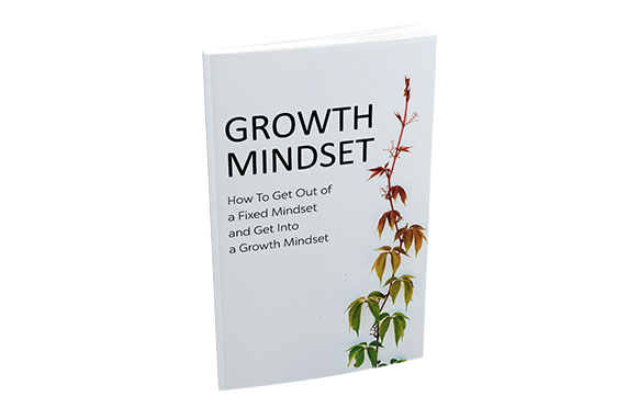 Growth-Mindset Growth Mindset
