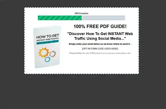 Screen424 How To Get Instant Web Traffic With Social Media